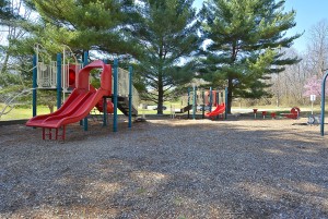 Print_Amenity-Ednor Park Playground